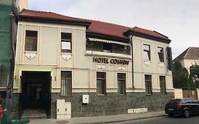 Hotel Cosmin